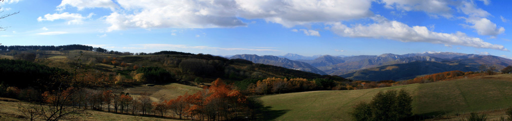 Cesto-del-lupo