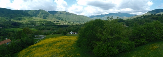campo giallo drone