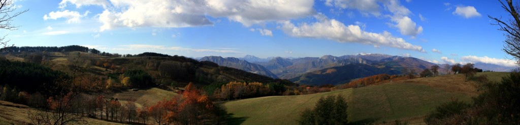 Oasi dynamo autunno