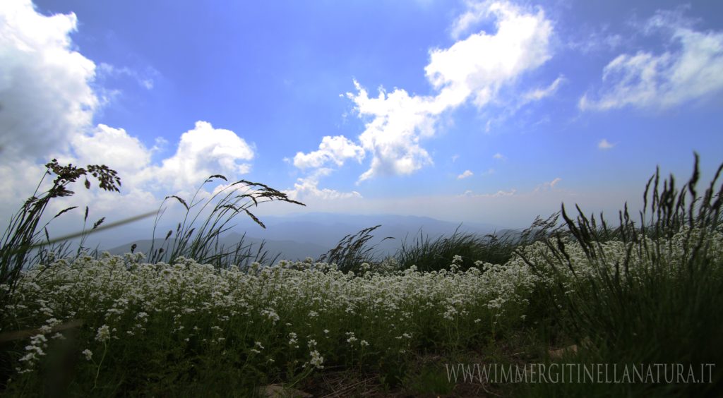 Monte Gennaio primavera