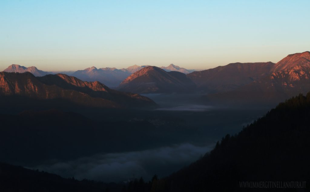 Apuane dai Bruciati , Oasi Dynamo