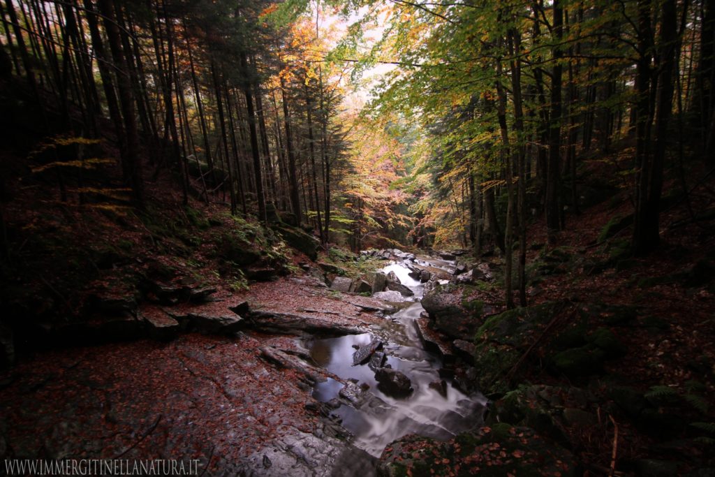Fiume Sestaione , Pian di Novello
