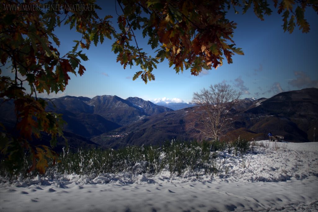 Pian dei termini , Nevicata precoce