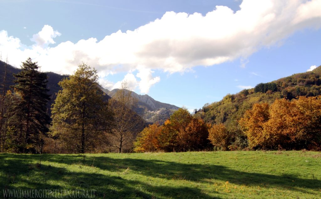 località Lambore - vista Lucchio,e Penna di Lucchio