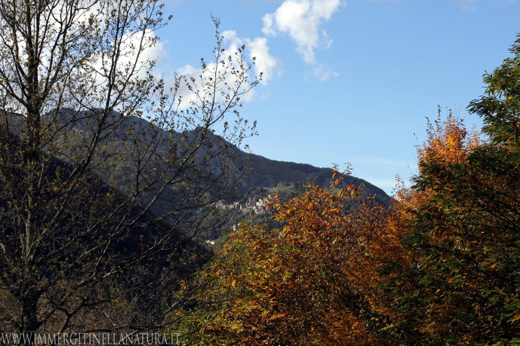 Vista lucchio autunno