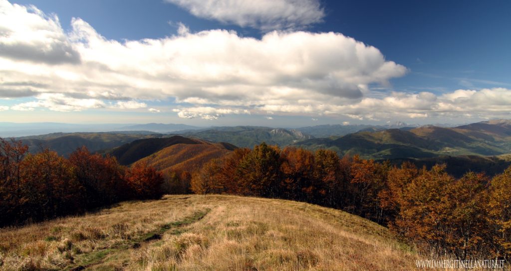 Pedata del Diavolo autunno