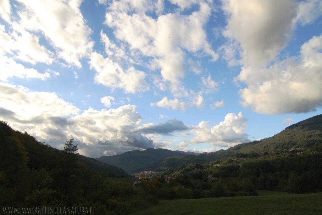 Vallata vista San Marcello Pistoiese