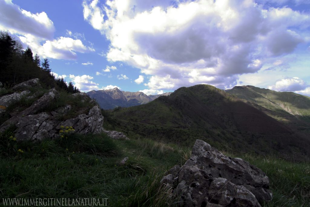 sentiero prato fiorito (LU)