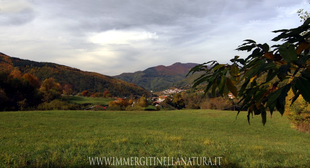 Vallata san macello pistoiese