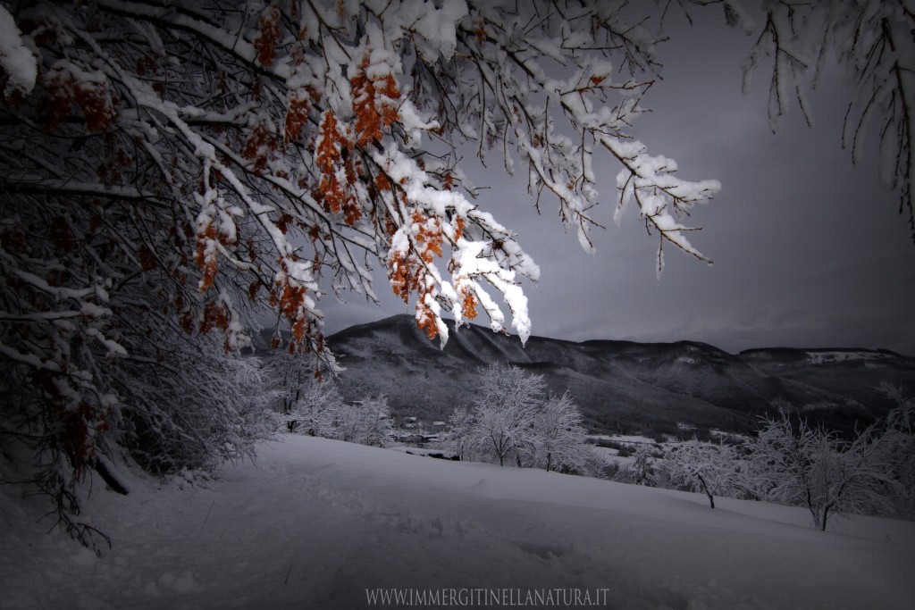 Vista invernale dall'oppio