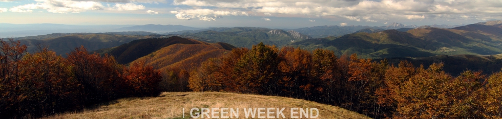 BANNER GREEN 2016